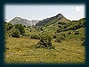 (84 Foto)