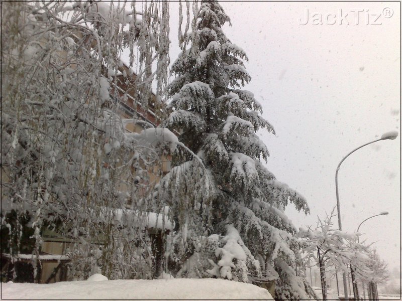 JackTiz - Copyright
17.27 gioved 12 febbraio 2009