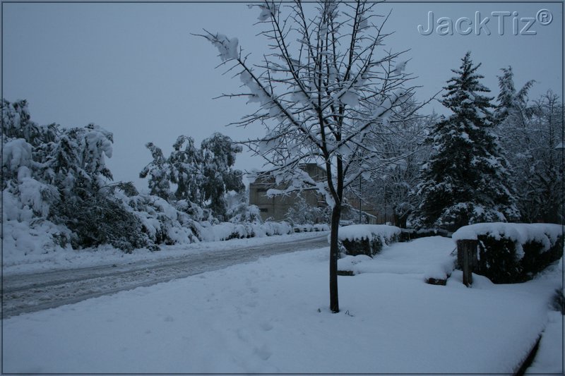 JackTiz - Copyright
18.30 gioved 12 febbraio 2009