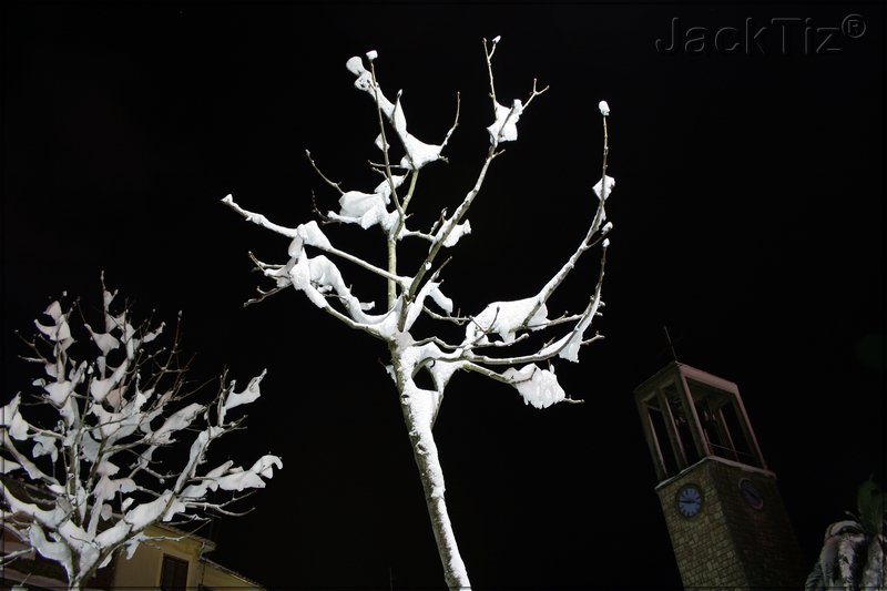 JackTiz - Copyright
0.24 venerd 13 febbraio 2009