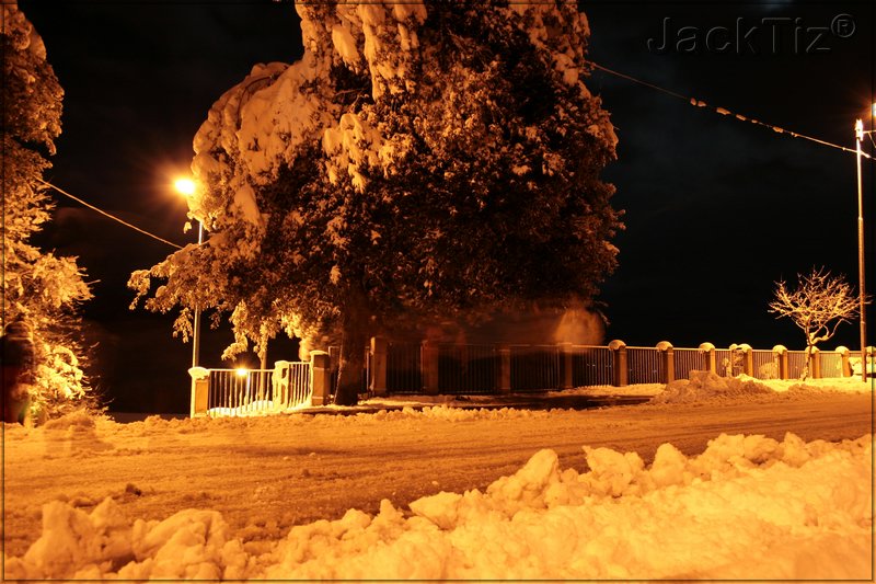 JackTiz - Copyright
0.47 venerd 13 febbraio 2009