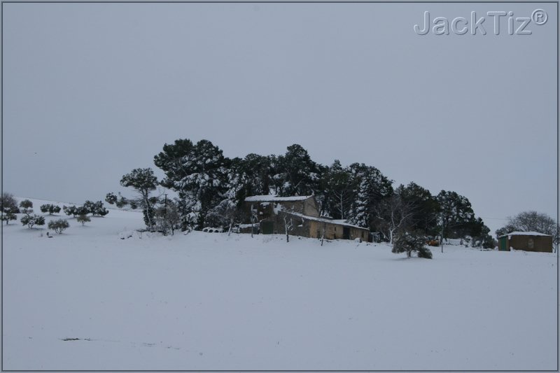 JackTiz - Copyright
16.26 venerd 13 febbraio 2009