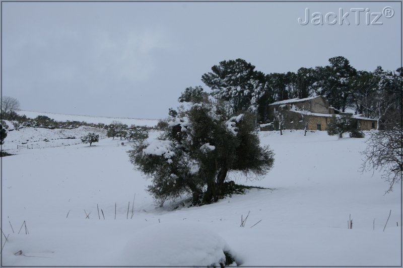 JackTiz - Copyright
16.26 venerd 13 febbraio 2009