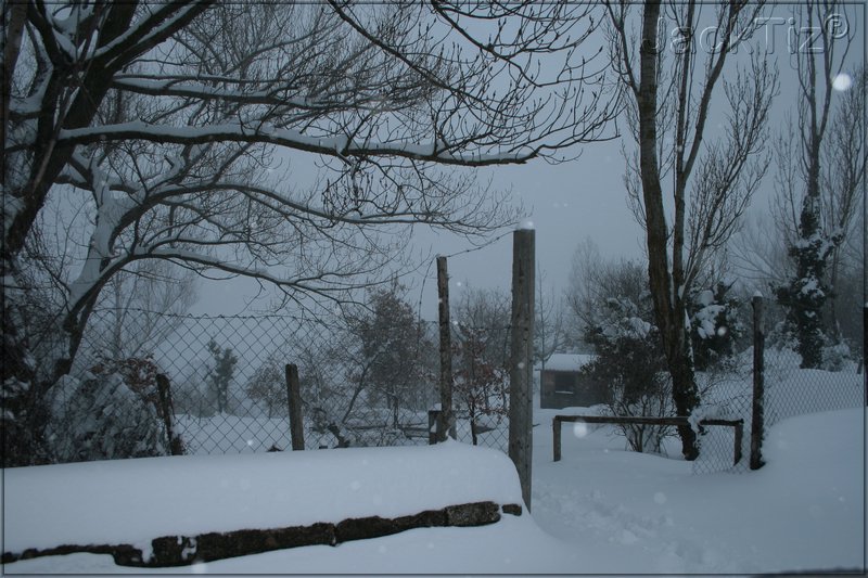 JackTiz - Copyright
17.15 venerd 13 febbraio 2009