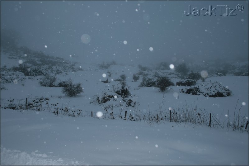 JackTiz - Copyright
17.17 venerd 13 febbraio 2009