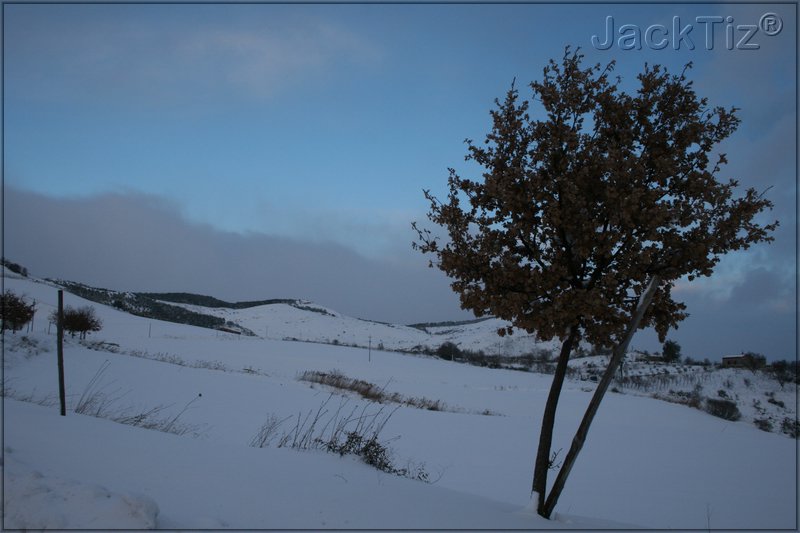 JackTiz - Copyright
17.27 venerd 13 febbraio 2009