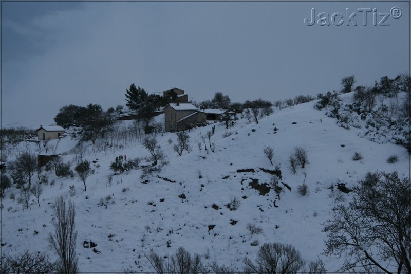 JackTiz - Copyright
17.30 venerd 13 febbraio 2009
