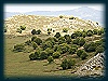 (122 Foto)